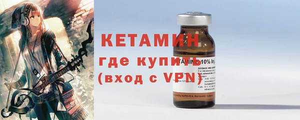 прущие грибы Белокуриха