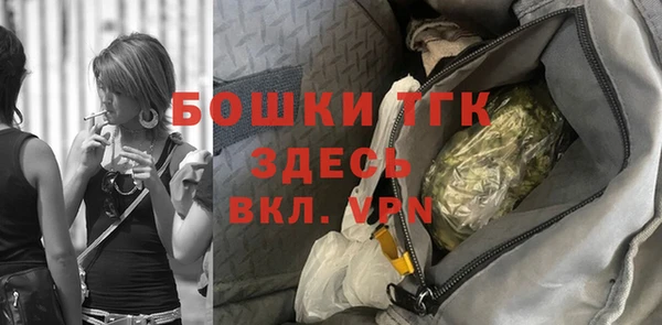 прущие грибы Белокуриха