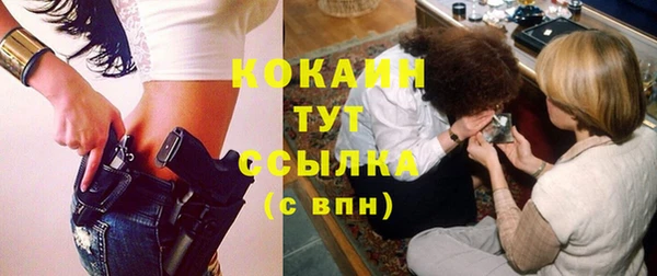 прущие грибы Белокуриха